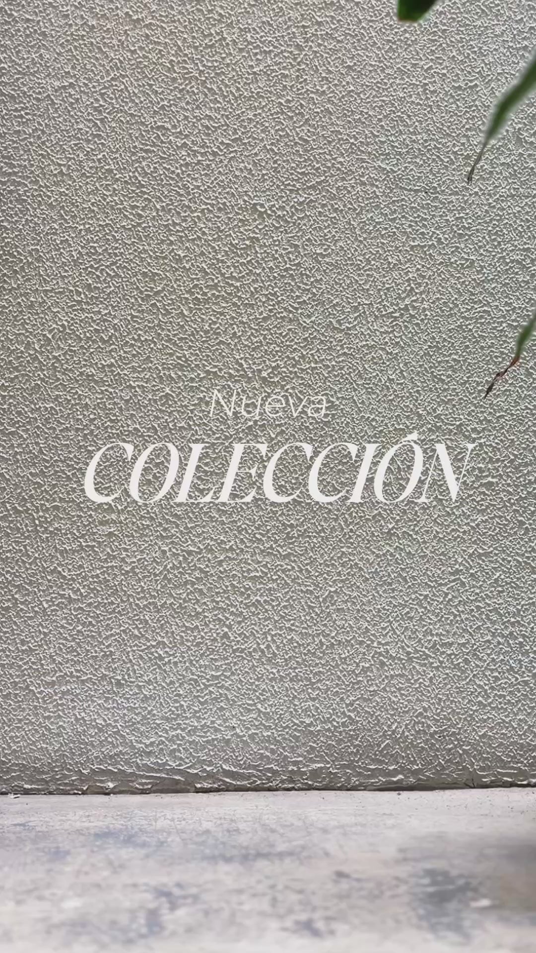 Cargar video: 
